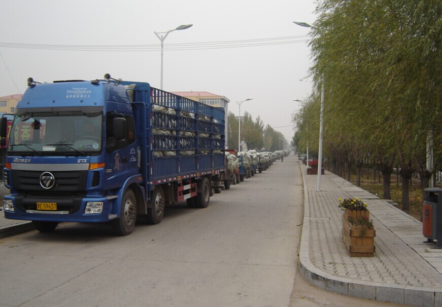 點(diǎn)擊瀏覽下一頁(yè)