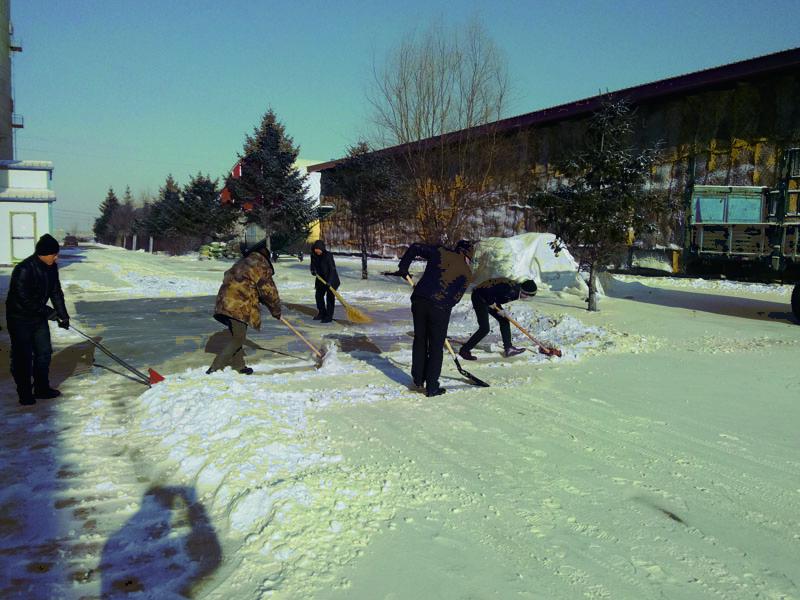 點(diǎn)擊瀏覽下一頁