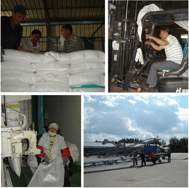 點(diǎn)擊瀏覽下一頁(yè)