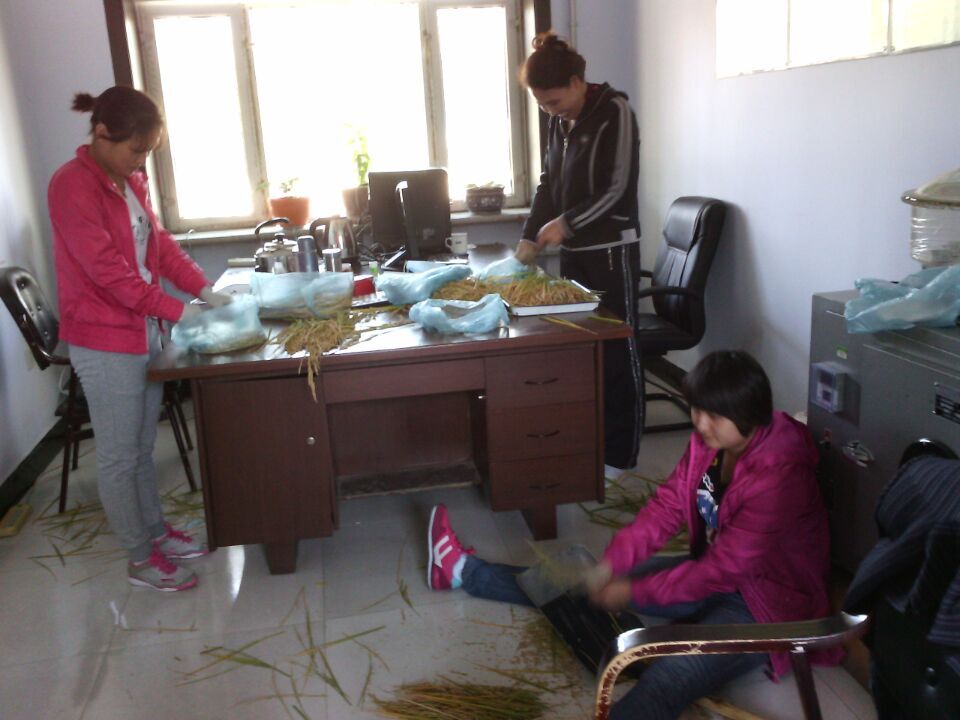 點(diǎn)擊瀏覽下一頁