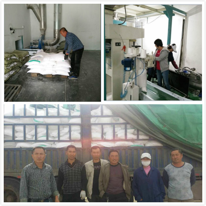 點擊瀏覽下一頁