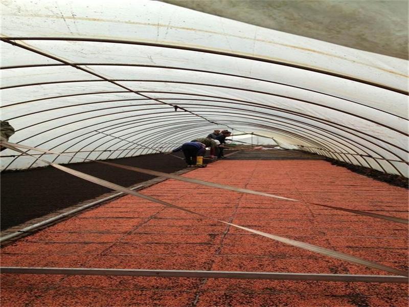 點(diǎn)擊瀏覽下一頁(yè)