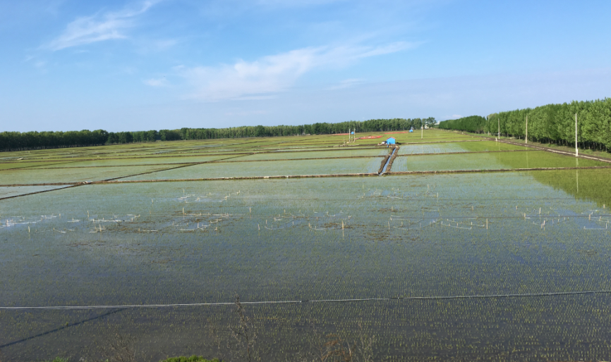點擊瀏覽下一頁