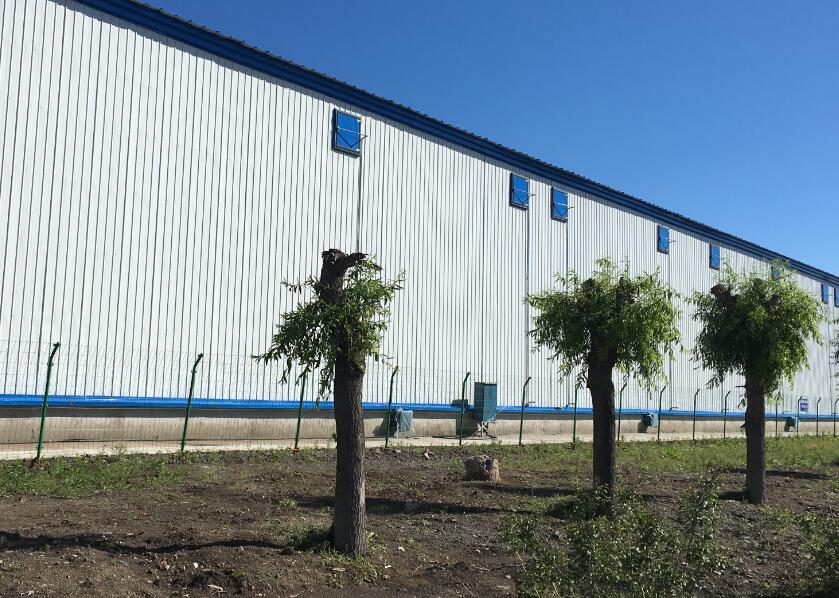 點(diǎn)擊瀏覽下一頁