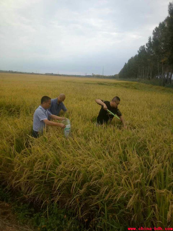 點(diǎn)擊瀏覽下一頁